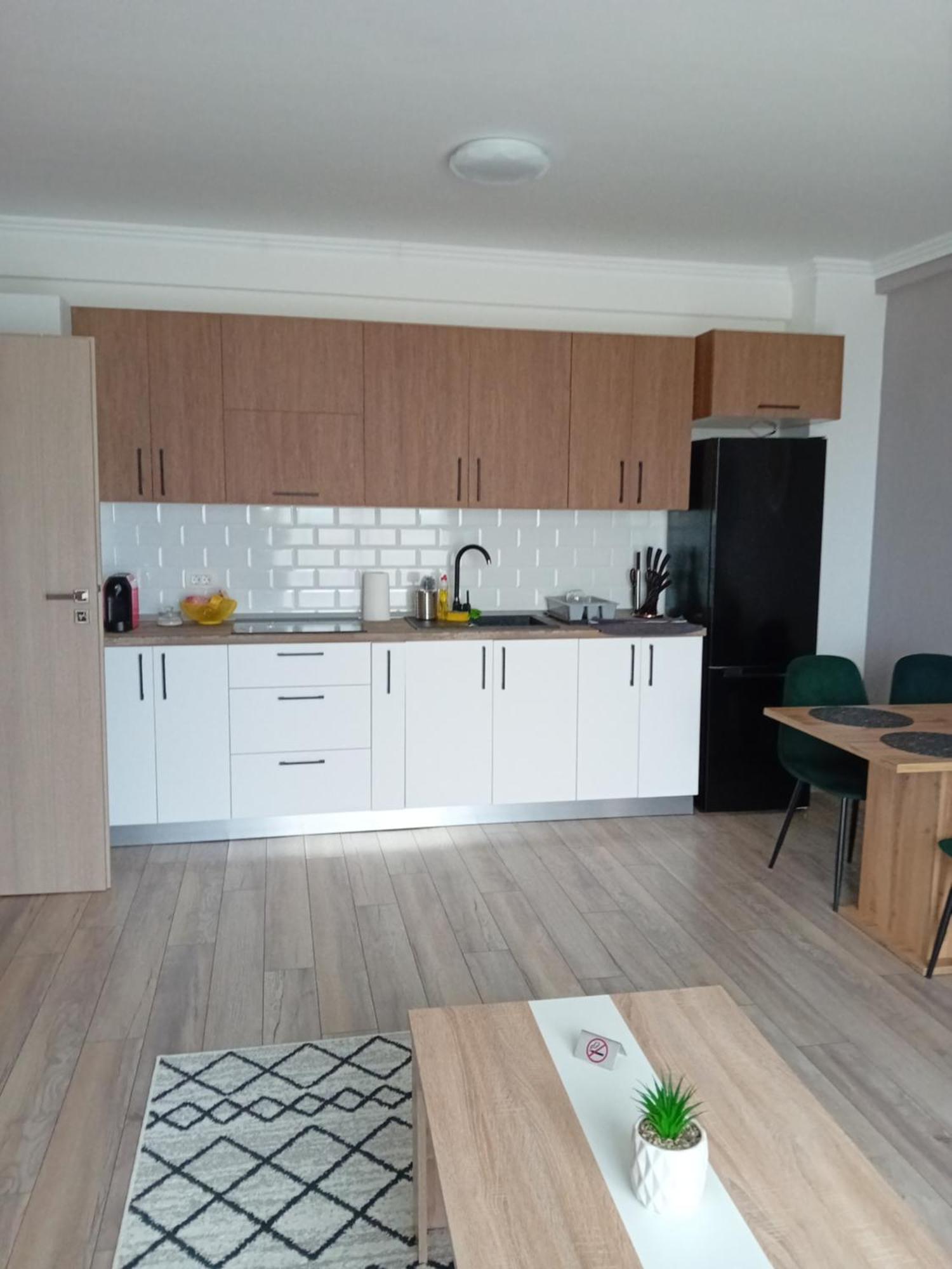 Apartament Adrian Băile Felix Buitenkant foto